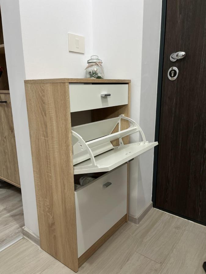 Apartament Modern Cu O Camera Timisoara Exterior photo