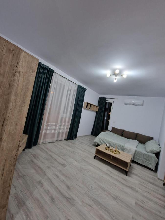 Apartament Modern Cu O Camera Timisoara Exterior photo